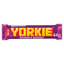 Yorkie