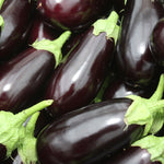 Aubergine (each)