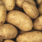 Potatoes (Each)