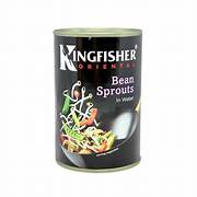 Kingfisher Bean Sprouts in water