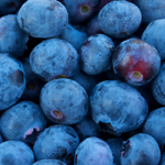 Blueberries (Punnet)(each)
