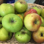 Cooking Apples (each)