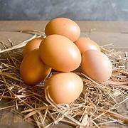 Hillwood Farm Free Range Eggs