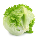 Lettuce (each)