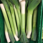 Online - Leeks 100g