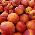 Nectarines (each)