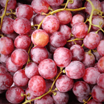 Grapes (punnet)(each)