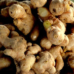 Online - Root Ginger 100g
