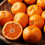 Satsumas (each)