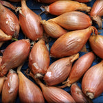 Online - Onions 100g