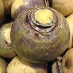 Turnip (quarter)(each)